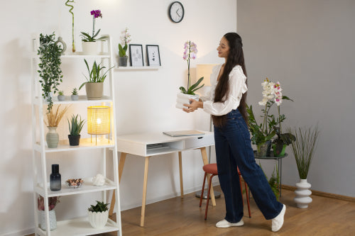 Rare and Exotic Plants to Elevate Your Home Dcor