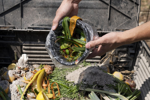 Recycling in Gardening: Turning Waste into Fertilizer