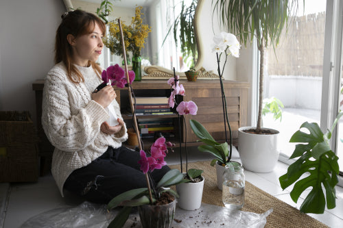 Using Seasonal Flowers to Transform Your Living Space