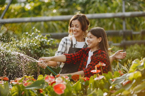 How to Reduce Water Usage in Your Garden
