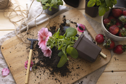 5 Eco-Friendly Gardening Hacks to Save Time and Money