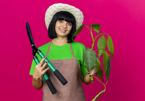 5 Must-Have Tools for Every Gardening Enthusiast
