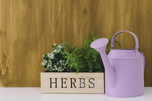 Creating the Perfect Herb Garden in Small Spaces