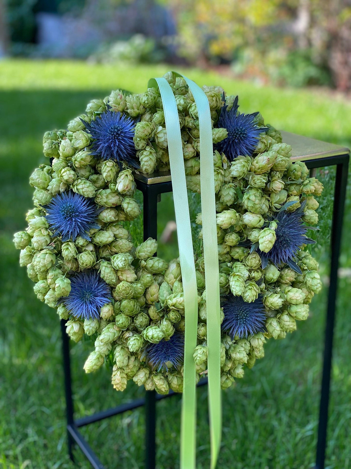 Hopfen Kranz - mit blauen Disteln 27 cm