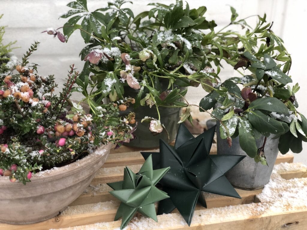 Fröbelstern Schwarz 26 cm – Wetterfester Weihnachtsstern aus Tarp (Outdoor geeignet)