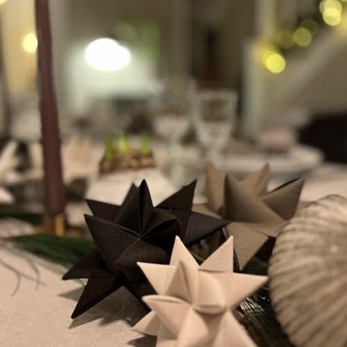 Fröbelstern Taupe 9 cm – Canvas Weihnachtsstern aus Segeltuch für Innenräume