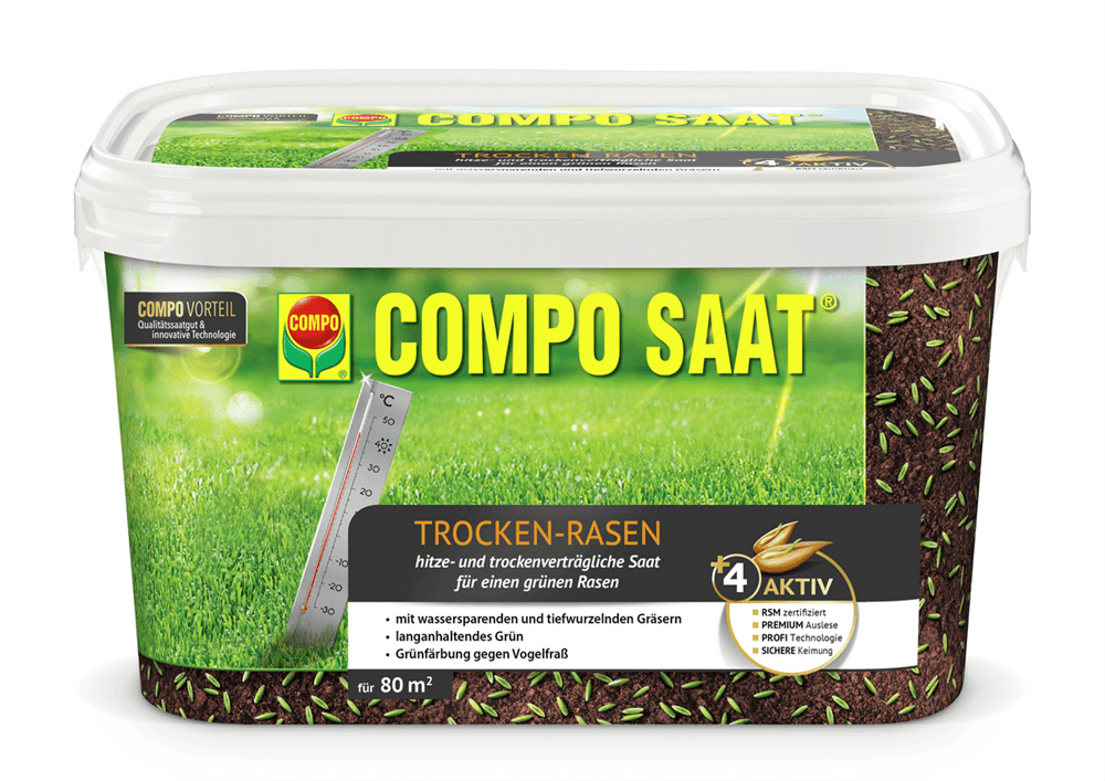 Compo SAAT Trocken-Rasen
