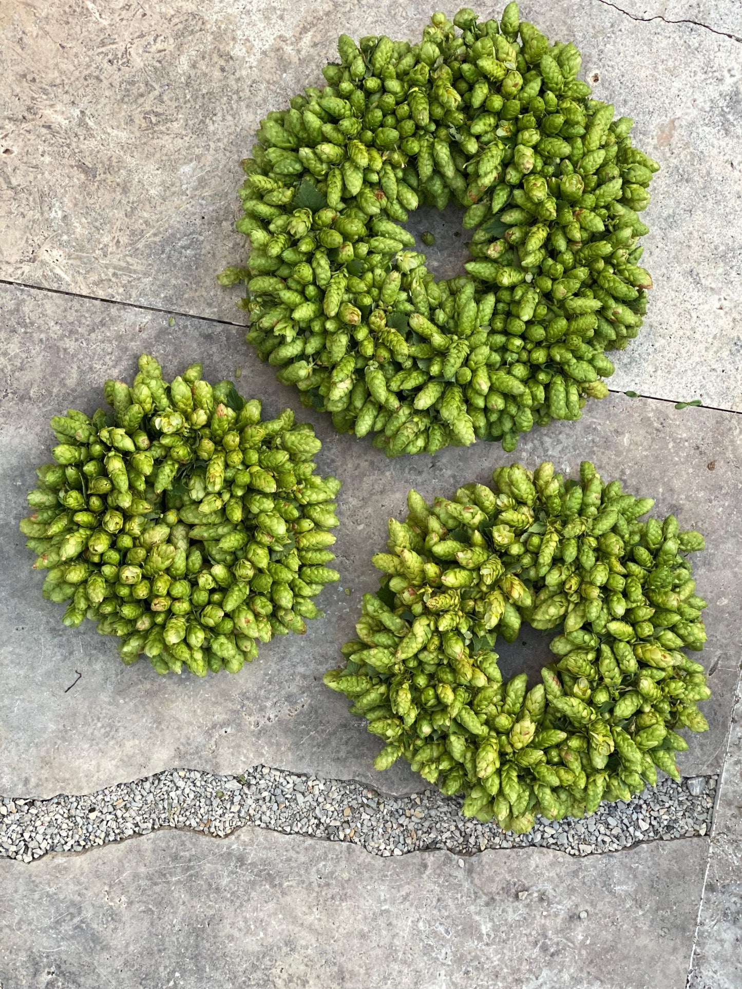 Hopfen Kranz - klassisch 20 cm - Gartenglueck und Bluetenkunst - DerGartenMarkt.de - Dekoration - DerGartenmarkt.de shop.dergartenmarkt.de