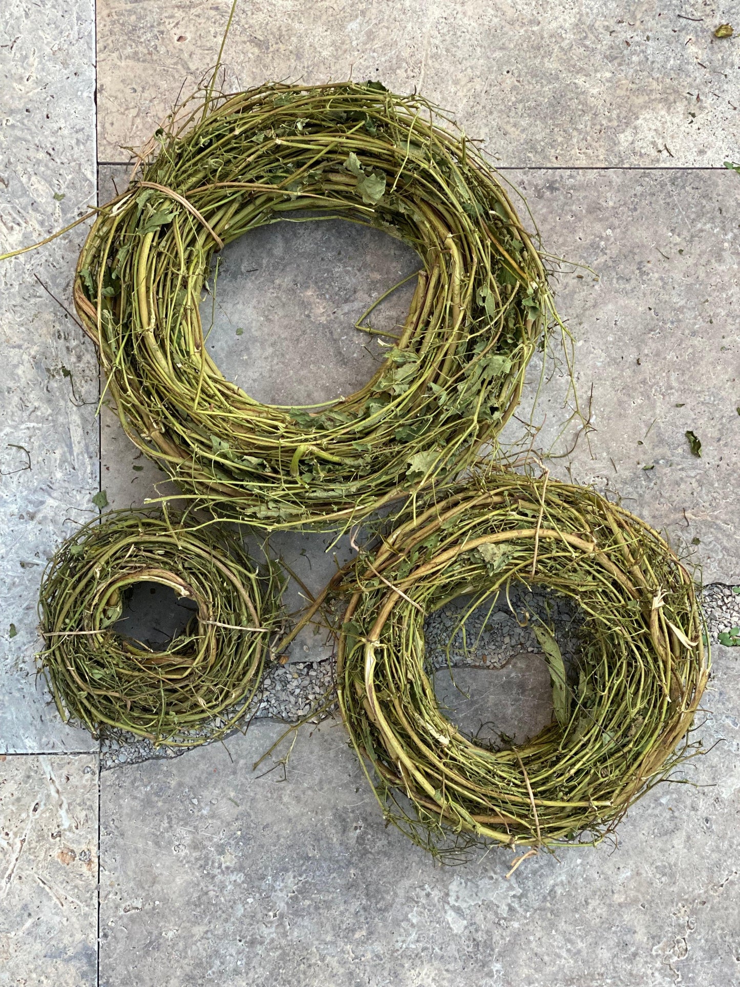 Rebenkranz aus Hopfen - getrocknet 15 cm - Gartenglueck und Bluetenkunst - DerGartenMarkt.de - Dekoration - DerGartenmarkt.de shop.dergartenmarkt.de