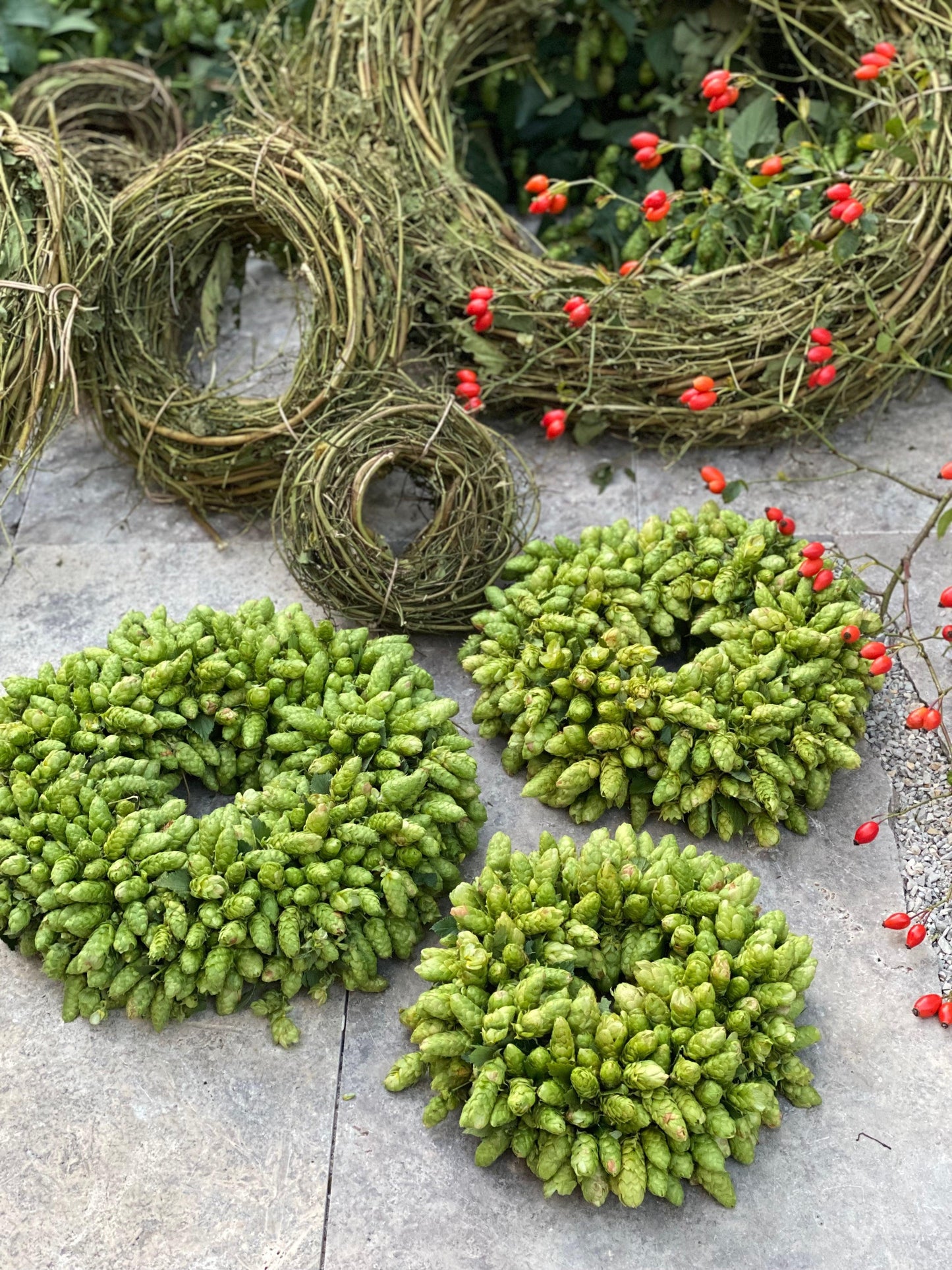 Rebenkranz aus Hopfen - getrocknet 35-40 cm - Gartenglueck und Bluetenkunst - DerGartenMarkt.de - Dekoration - DerGartenmarkt.de shop.dergartenmarkt.de