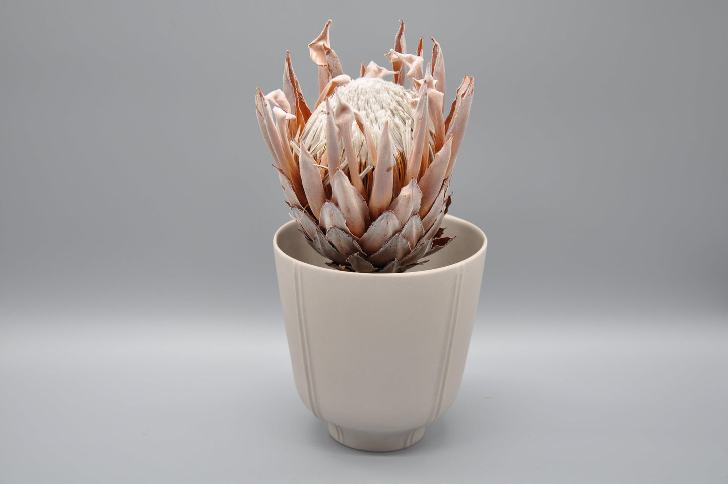 Topf IRMA Taupe - Klatt Objects - Klatt Objects - Blumentöpfe & Pflanzgefäße - DerGartenmarkt.de shop.dergartenmarkt.de