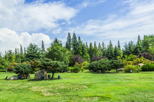 The Benefits of Composting for a Greener Garden
