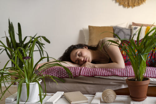 The Best Plants for Bedroom Dcor and Better Sleep