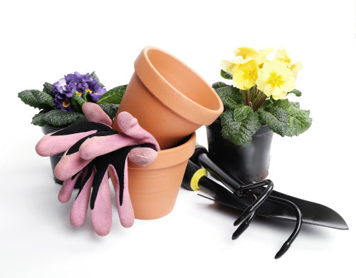 How to Combine Modern Dcor with Timeless Gardening Elements