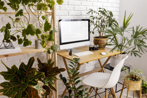 Home Office Trends: Incorporating Greenery for Productivity