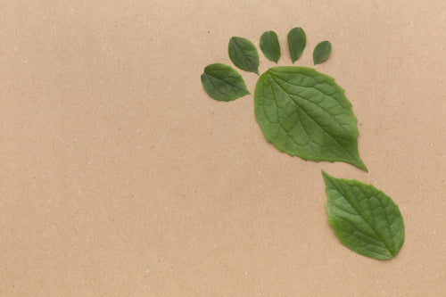 Carbon Footprint and Gardening: Making a Positive Impact