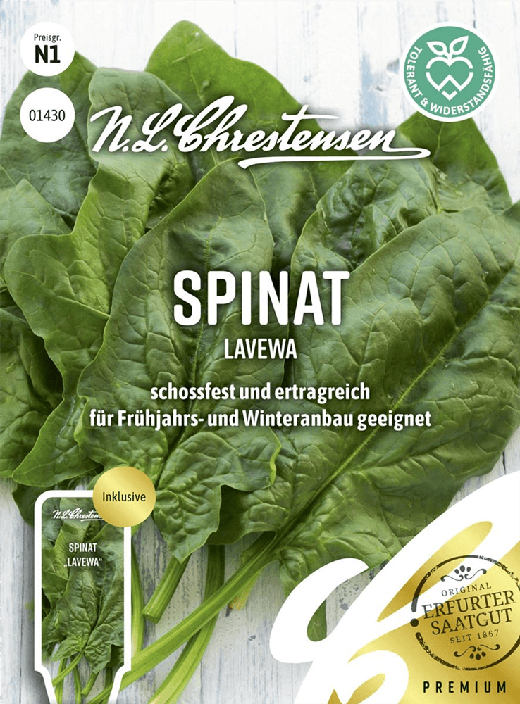 Spinatsamen 'Lavewa' - Chrestensen - Pflanzen > Saatgut > Gemüsesamen > Spinatsamen - DerGartenmarkt.de shop.dergartenmarkt.de