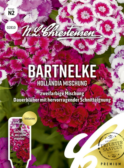 Bartnelkensamen 'Hollandia Mix'