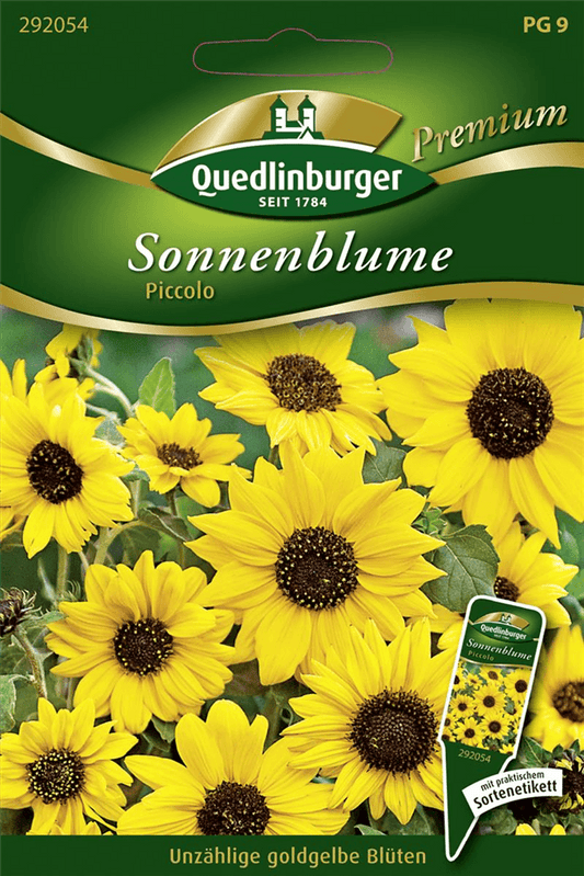 Sonnenblumensamen 'Piccolo' - Quedlinburger Saatgut - Pflanzen > Saatgut > Blumensamen > Blumensamen, einjährig - DerGartenmarkt.de shop.dergartenmarkt.de