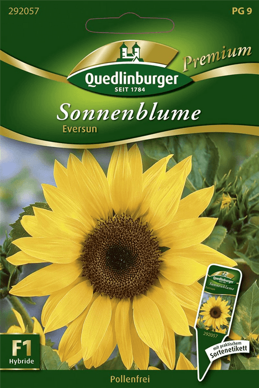 Sonnenblumennsamen 'Eversun' - Quedlinburger Saatgut - Pflanzen > Saatgut > Blumensamen > Blumensamen, einjährig - DerGartenmarkt.de shop.dergartenmarkt.de