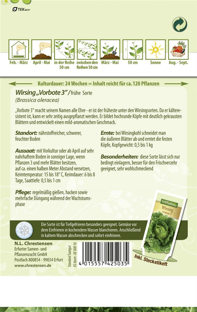 Wirsingkohlsamen 'Typ Vorbote' - Chrestensen - Pflanzen > Saatgut > Gemüsesamen > Kohlsamen - DerGartenmarkt.de shop.dergartenmarkt.de