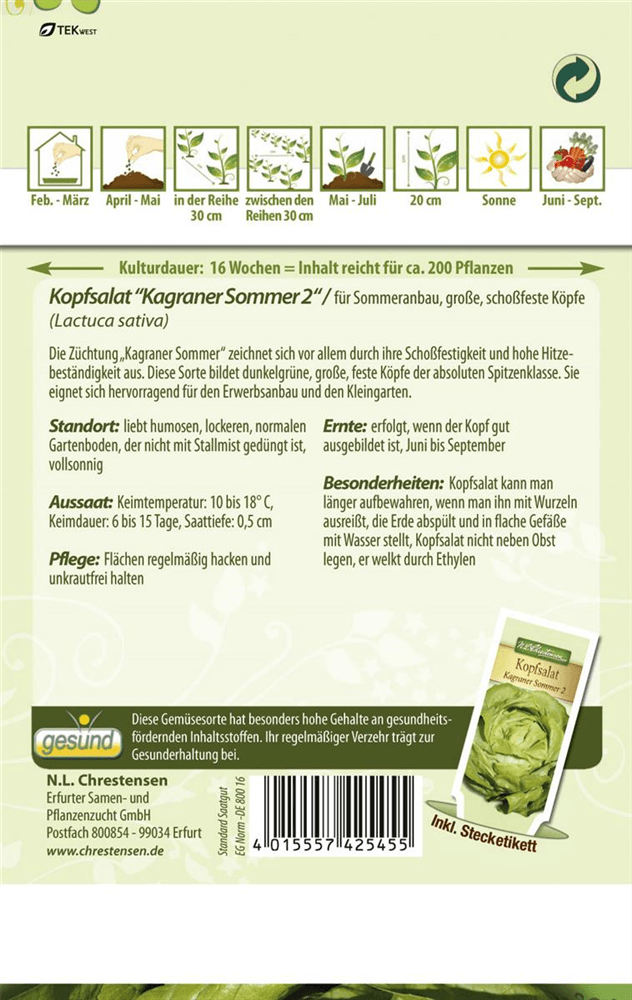 Kopfsalatsamen 'Kagraner Sommer 2' - Chrestensen - Pflanzen > Saatgut > Gemüsesamen > Salatsamen - DerGartenmarkt.de shop.dergartenmarkt.de