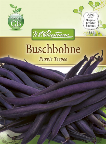 Buschbohnensamen 'Purple Teepee'