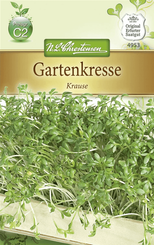 Kressesamen 'Krause' - Chrestensen - Pflanzen > Saatgut > Kräutersamen > Kressesamen - DerGartenmarkt.de shop.dergartenmarkt.de