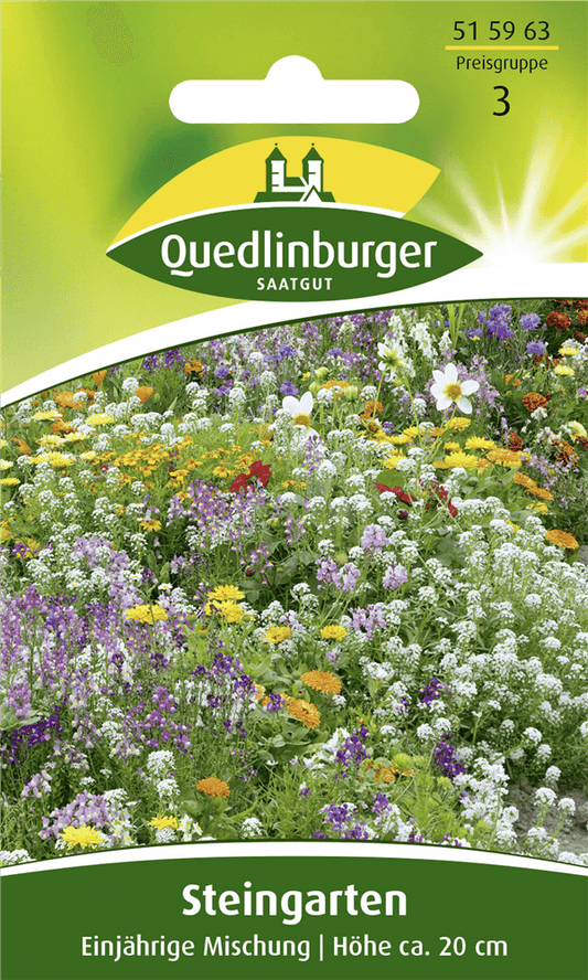 Sommer-Steingartenblumen-Samen - Quedlinburger Saatgut - Pflanzen > Saatgut > Blumensamen > Blumensamen, einjährig - DerGartenmarkt.de shop.dergartenmarkt.de
