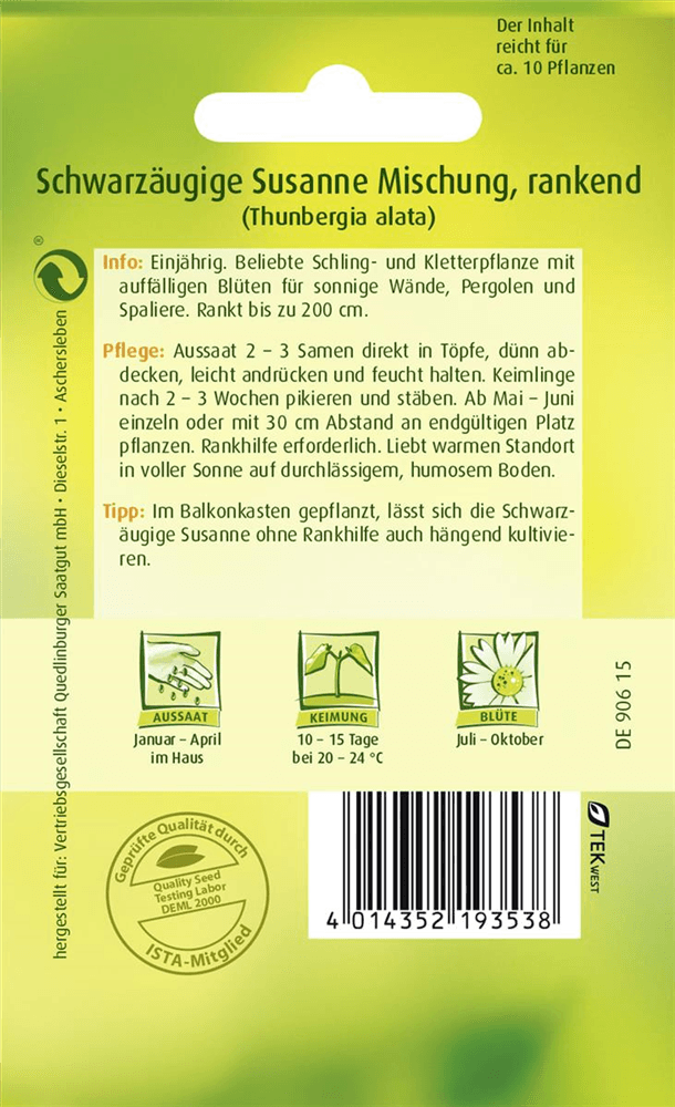 Schwarzäugige Susanne-Samen - Quedlinburger Saatgut - Pflanzen > Saatgut > Blumensamen > Blumensamen, einjährig - DerGartenmarkt.de shop.dergartenmarkt.de
