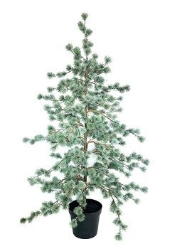 Kaheku Genaro Dekotanne Kiefer Grün 157 cm – Produktansicht