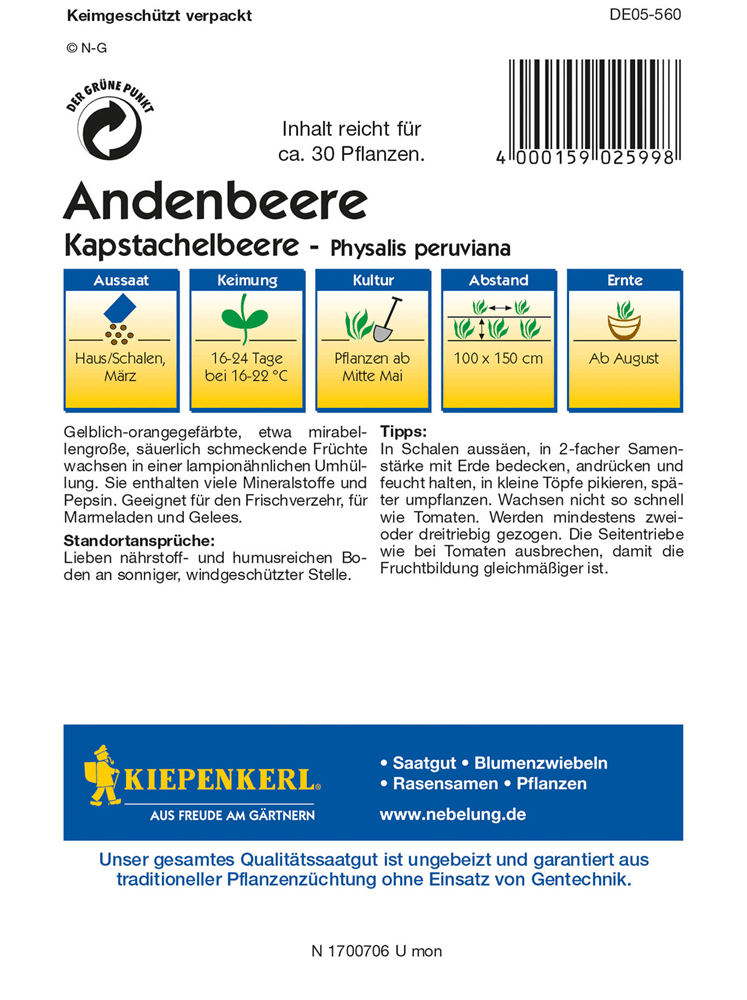 Andenbeere - Kiepenkerl - Pflanzen > Saatgut > Obstsamen - DerGartenmarkt.de shop.dergartenmarkt.de