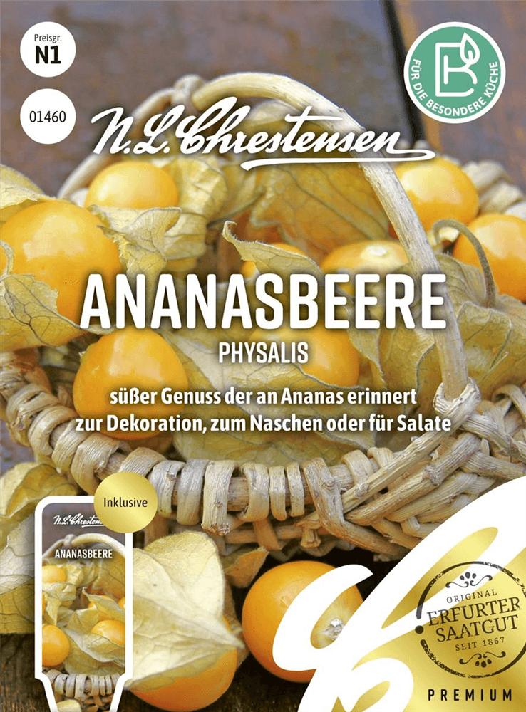 Andenbeerensamen - Chrestensen - Pflanzen > Saatgut > Obstsamen - DerGartenmarkt.de shop.dergartenmarkt.de