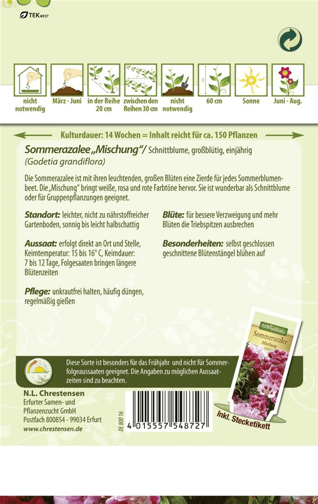 Atlasblumensamen - Chrestensen - Pflanzen > Saatgut > Blumensamen > Blumensamen, einjährig - DerGartenmarkt.de shop.dergartenmarkt.de