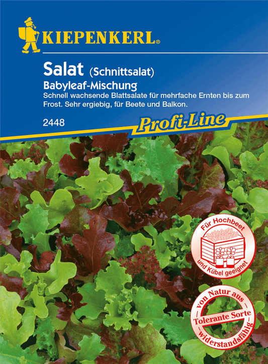 Babyleaf-Salat - Kiepenkerl - Pflanzen > Saatgut > Gemüsesamen > Salatsamen - DerGartenmarkt.de shop.dergartenmarkt.de