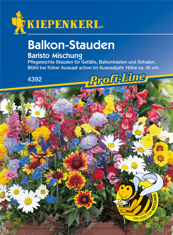 Balkonstauden 'Baristo' - Kiepenkerl - Pflanzen > Saatgut > Blumensamen - DerGartenmarkt.de shop.dergartenmarkt.de