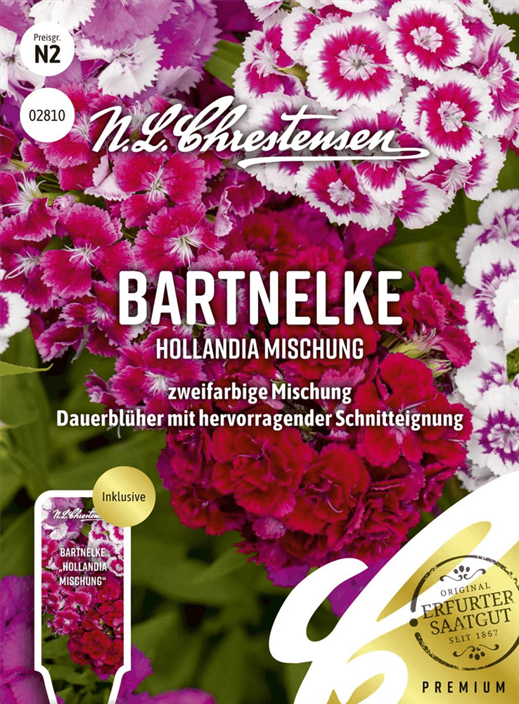 Bartnelkensamen 'Hollandia Mix' - Chrestensen - Pflanzen > Saatgut > Blumensamen > Blumensamen, mehrjährig - DerGartenmarkt.de shop.dergartenmarkt.de