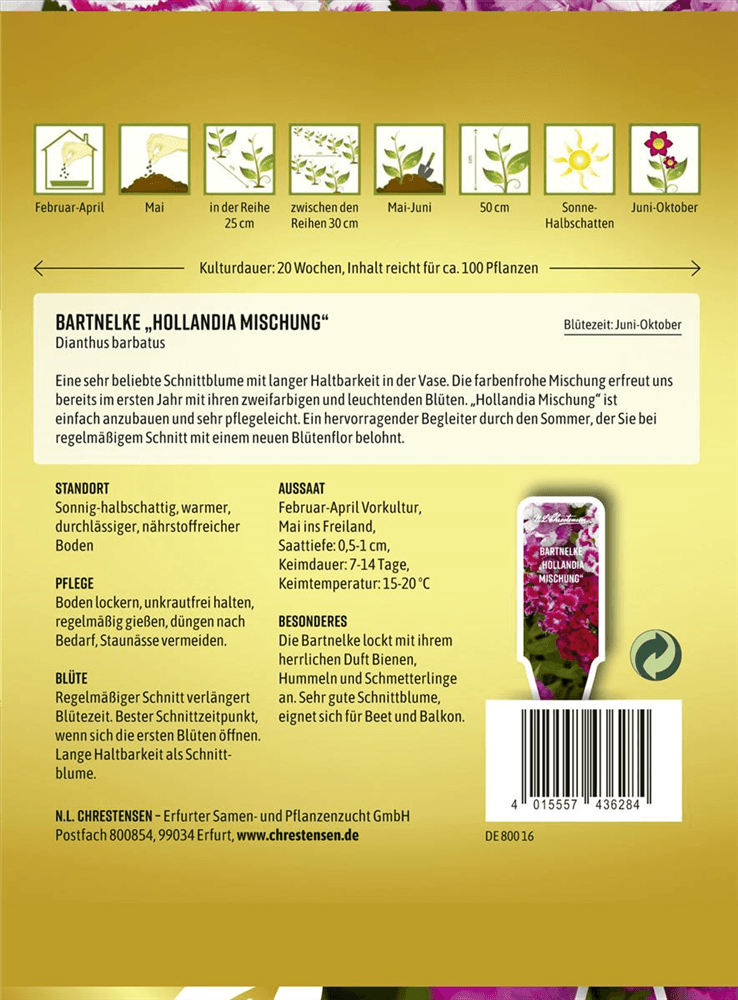 Bartnelkensamen 'Hollandia Mix' - Chrestensen - Pflanzen > Saatgut > Blumensamen > Blumensamen, mehrjährig - DerGartenmarkt.de shop.dergartenmarkt.de