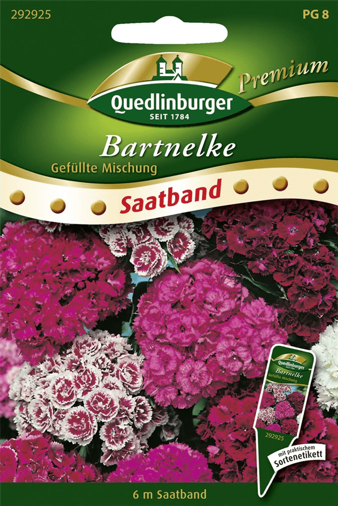 Bartnelkensamen - Quedlinburger Saatgut - Pflanzen > Saatgut > Blumensamen > Blumensamen, mehrjährig - DerGartenmarkt.de shop.dergartenmarkt.de
