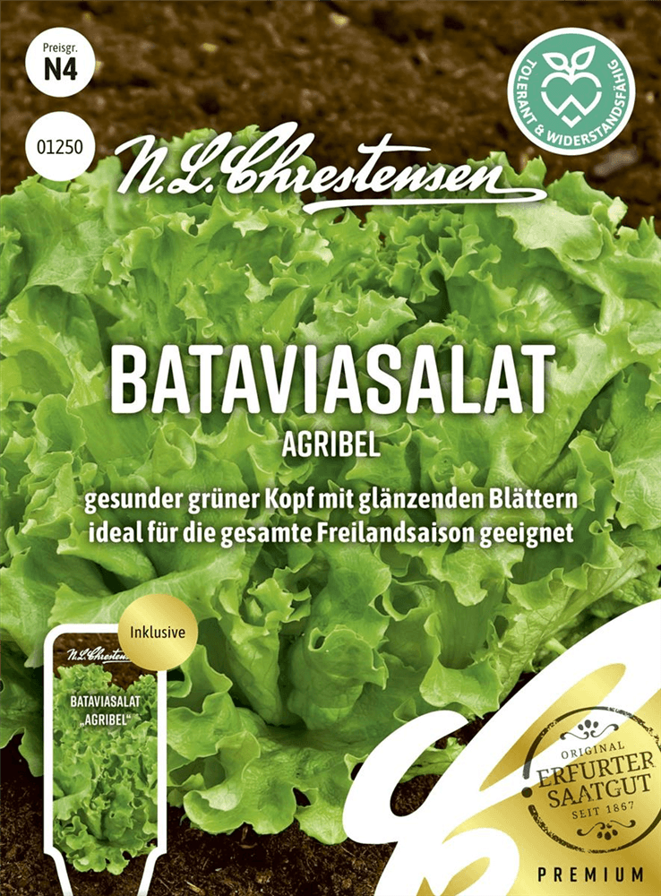 Bataviasalatsamen 'Agribel' - Chrestensen - Pflanzen > Saatgut > Gemüsesamen > Salatsamen - DerGartenmarkt.de shop.dergartenmarkt.de