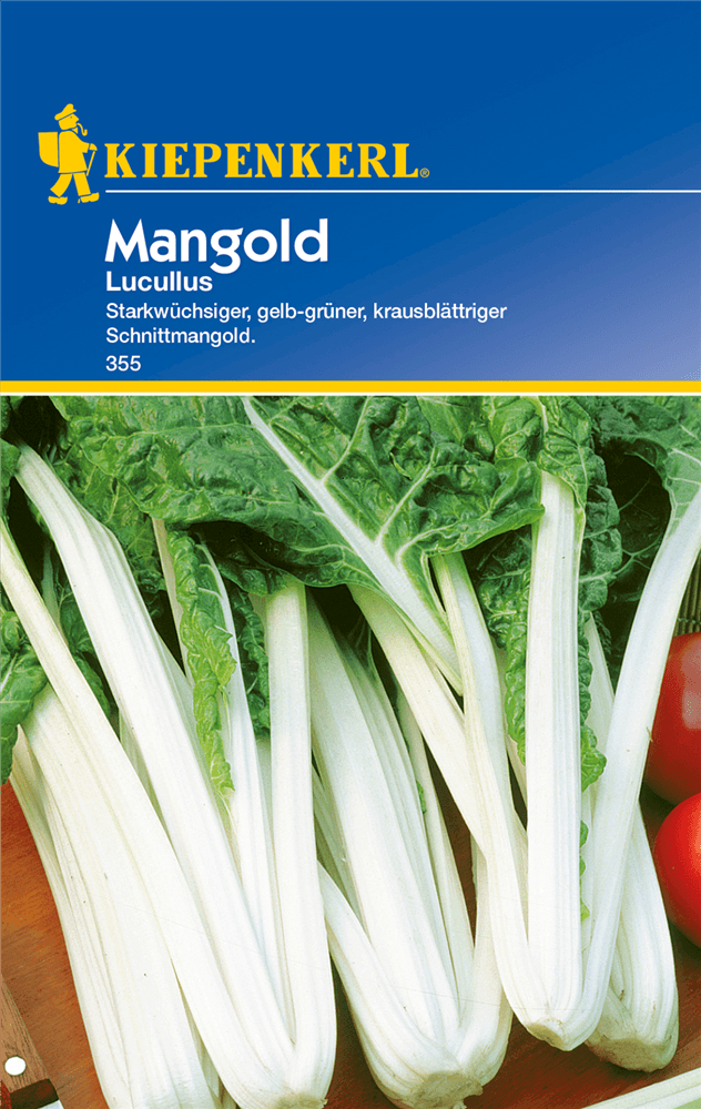 Blatt-Mangold 'Lucullus' - Kiepenkerl - Pflanzen > Saatgut > Gemüsesamen > Mangoldsamen - DerGartenmarkt.de shop.dergartenmarkt.de