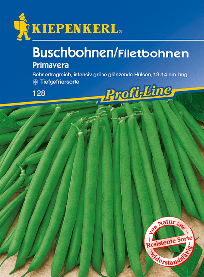 Busch-Bohne 'Primavera' - Kiepenkerl - Pflanzen > Saatgut > Gemüsesamen > Bohnensamen - DerGartenmarkt.de shop.dergartenmarkt.de