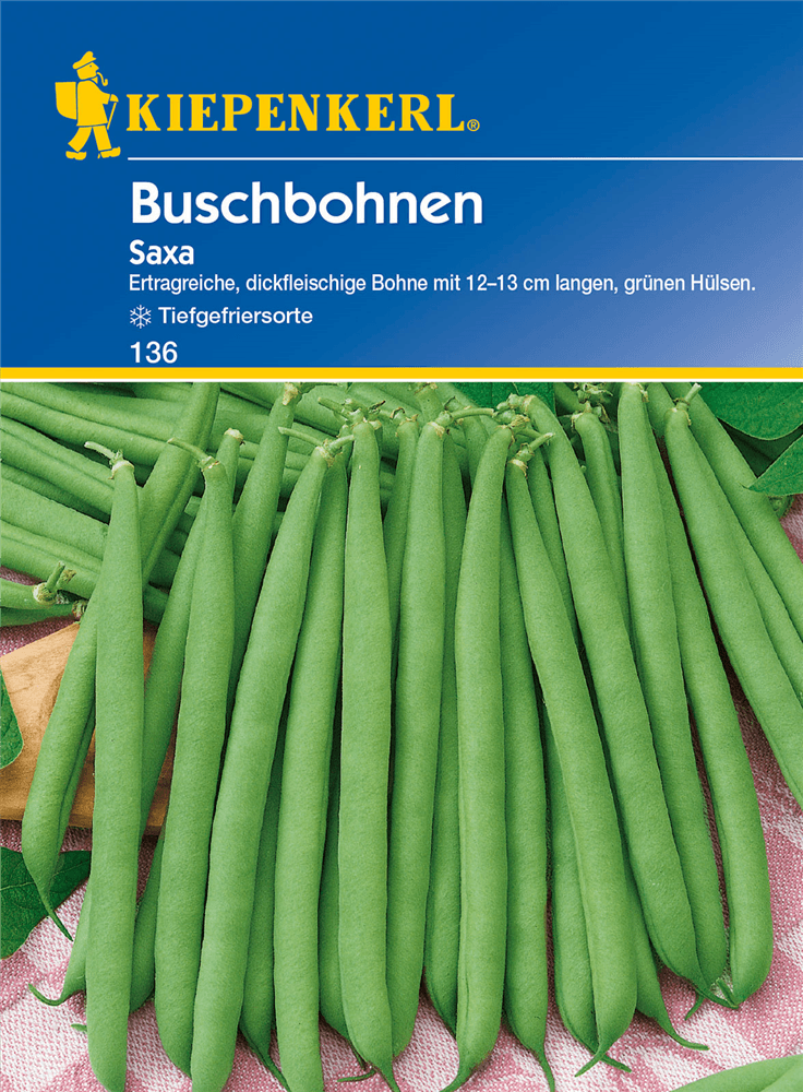 Busch-Bohne 'Saxa' - Kiepenkerl - Pflanzen > Saatgut > Gemüsesamen > Bohnensamen - DerGartenmarkt.de shop.dergartenmarkt.de