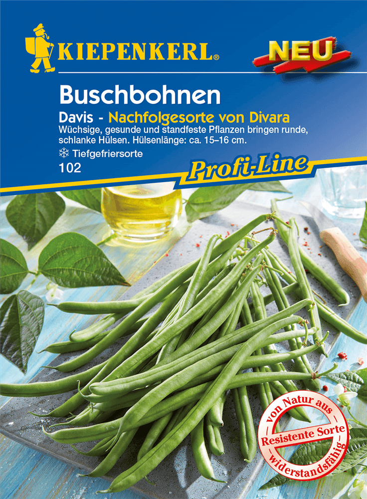 Buschbohne 'Davis' - Kiepenkerl - Pflanzen > Saatgut > Gemüsesamen > Bohnensamen - DerGartenmarkt.de shop.dergartenmarkt.de