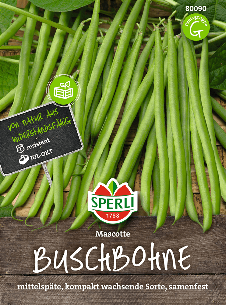 Buschbohne 'Mascotte' - Sperli - Pflanzen > Saatgut > Gemüsesamen > Bohnensamen - DerGartenmarkt.de shop.dergartenmarkt.de