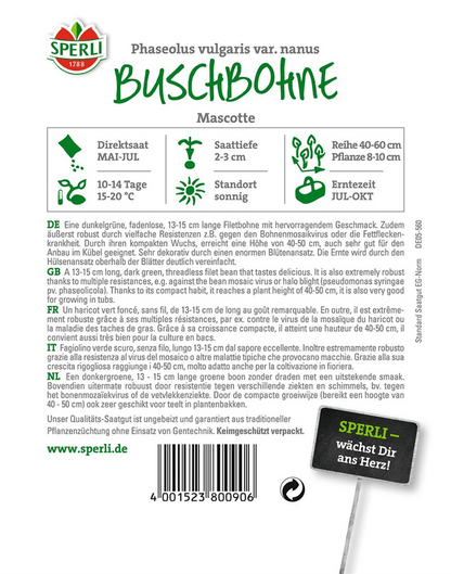 Buschbohne 'Mascotte' - Sperli - Pflanzen > Saatgut > Gemüsesamen > Bohnensamen - DerGartenmarkt.de shop.dergartenmarkt.de