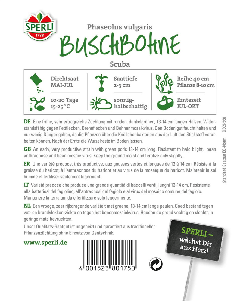 Buschbohne 'Scuba' - Sperli - Pflanzen > Saatgut > Gemüsesamen > Bohnensamen - DerGartenmarkt.de shop.dergartenmarkt.de