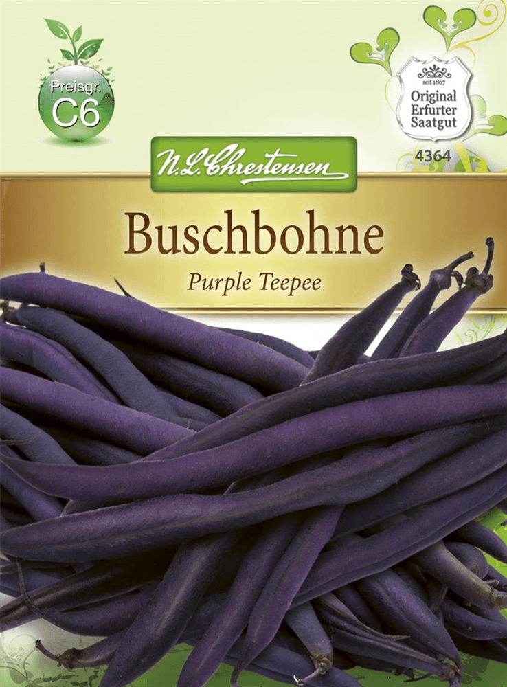 Buschbohnensamen 'Purple Teepee' - Chrestensen - Pflanzen > Saatgut > Gemüsesamen > Bohnensamen - DerGartenmarkt.de shop.dergartenmarkt.de