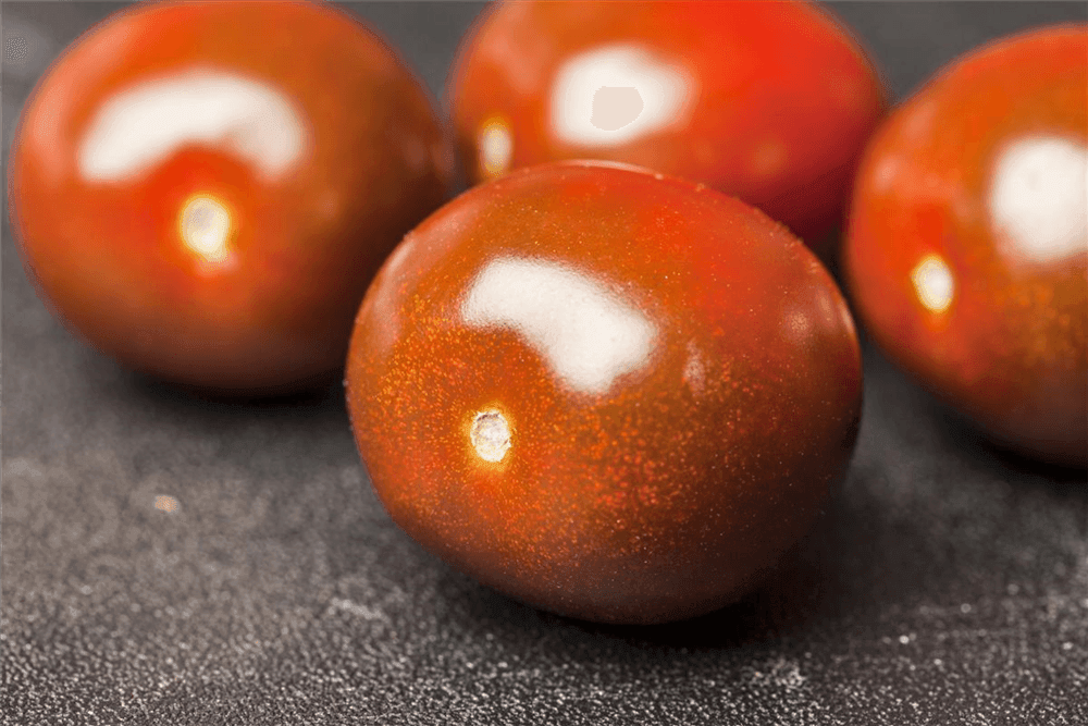 Cherry-Tomate-Samen - Quedlinburger Saatgut - Pflanzen > Saatgut > Gemüsesamen > Tomatensamen - DerGartenmarkt.de shop.dergartenmarkt.de