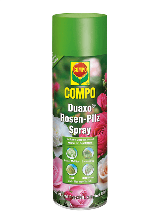 Compo Duaxo Rosen-Pilz-Spray - Compo - Gartenbedarf > Pflanzenschutz - DerGartenmarkt.de shop.dergartenmarkt.de